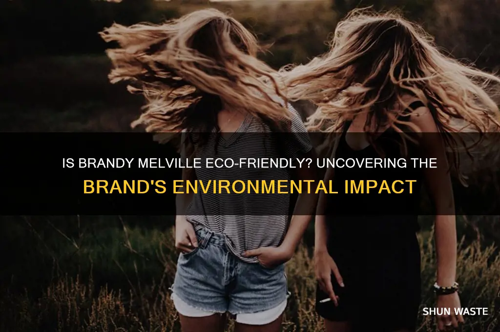 is brandy melville good for the environment