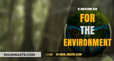 Breathing's Environmental Impact: Separating Fact from Fiction in Air Quality