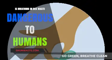 Breathing in Dog Waste: Potential Health Risks for Humans Explained