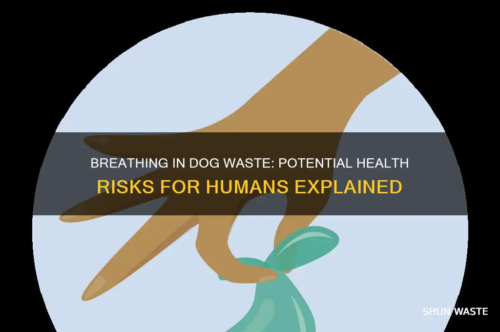 is breathing in dog waste dangerous to humans