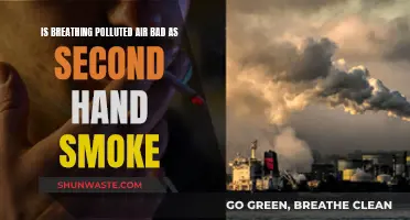 Breathing Polluted Air: As Harmful as Secondhand Smoke?