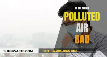 Breathing Polluted Air: A Slow, Silent Killer?