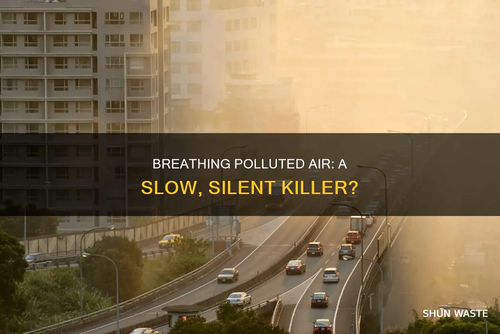 is breathing polluted air bad