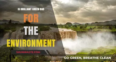 Is Brilliant Green Eco-Friendly? Environmental Impact of Brilliant Green Explained