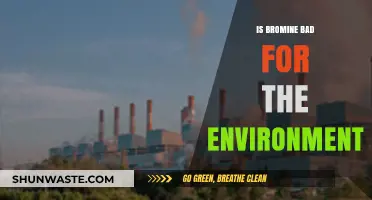 Bromine's Environmental Impact: Harmful Effects and Sustainable Alternatives Explored