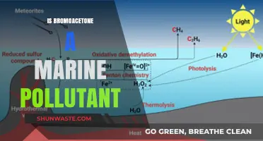 The Marine Pollutant Bromoacetone: What You Need to Know