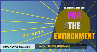 Bromoethane's Environmental Impact: Assessing Its Harmful Effects on Ecosystems