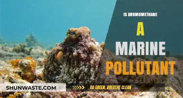 Bromomethane: A Marine Pollutant?