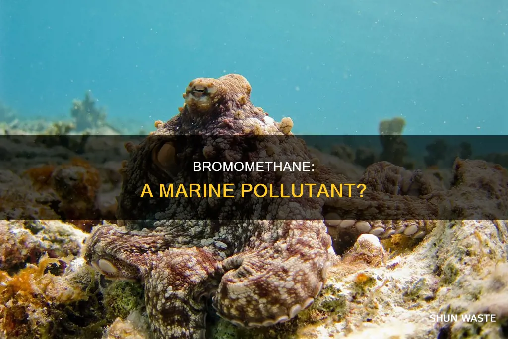 is bromomethane a marine pollutant