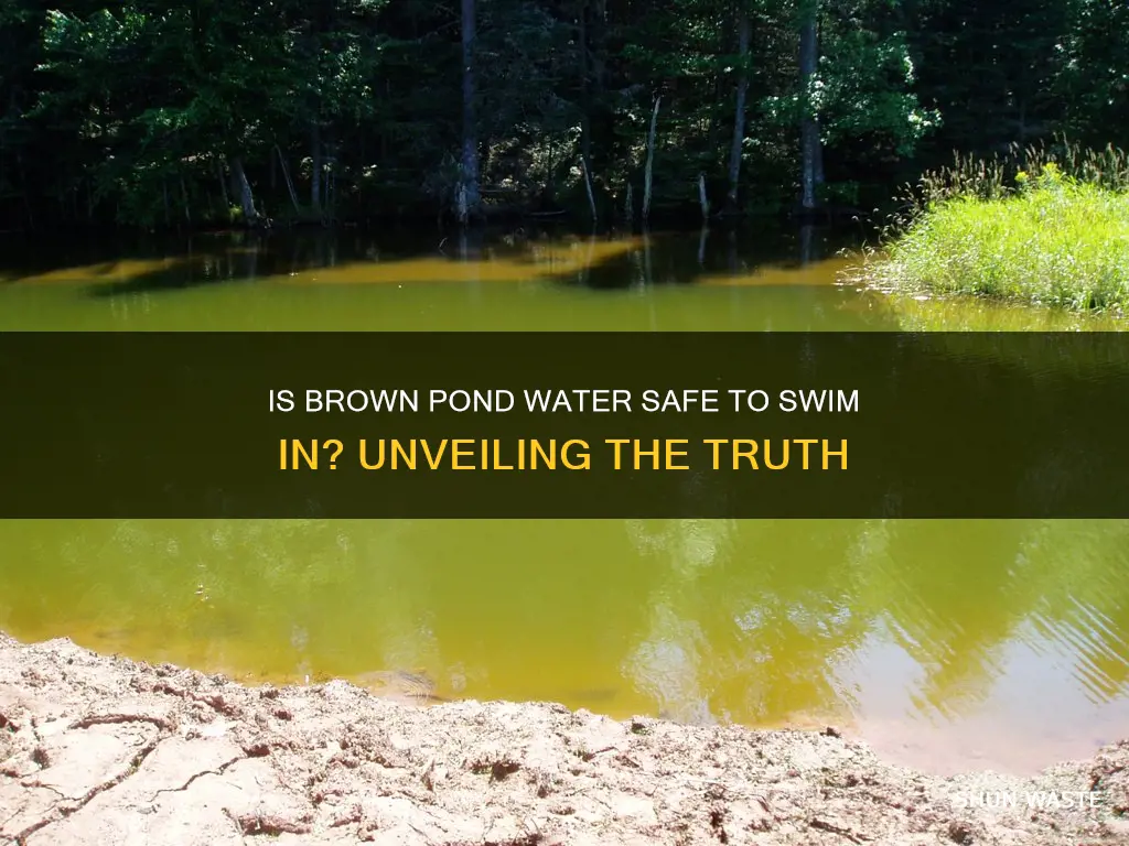 is brown pond water polluted