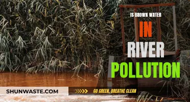 Unveiling the Mystery: Brown River Water - A Pollution Concern?