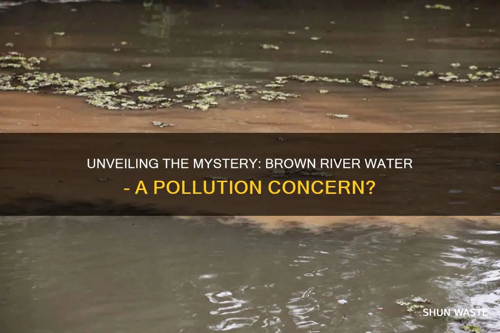 is brown water in river pollution