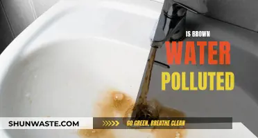 Brown Water: Is It Always Polluted?