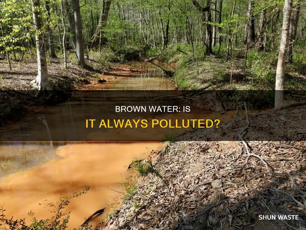 is brown water polluted