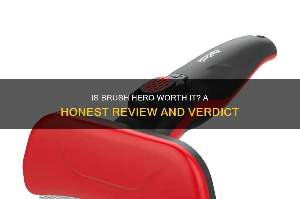 is brush hero a waste of money