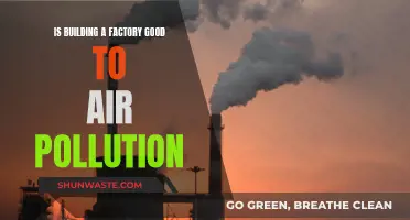 Factory Construction: Air Pollution Friend or Foe?