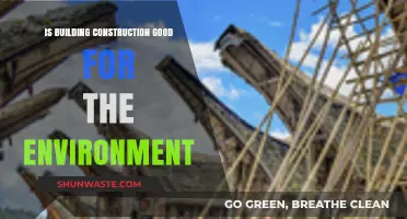 Eco-Friendly Construction: Balancing Building Needs with Environmental Impact