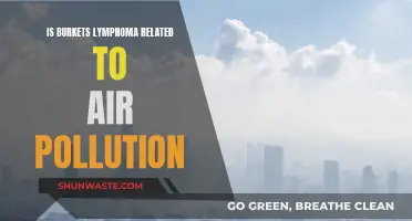Air Pollution and Burkitt's Lymphoma: Is There a Link?