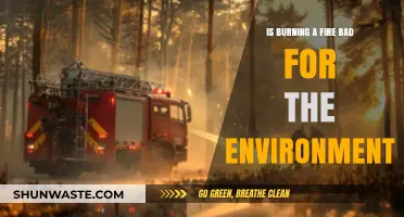 Burning Fires: Environmental Impact and Sustainable Alternatives Explored