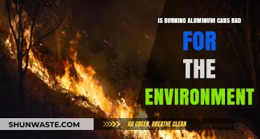 Burning Aluminum Cans: Environmental Impact and Sustainable Alternatives Explored