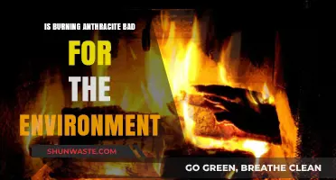 Burning Anthracite: Environmental Impact and Sustainable Alternatives Explored