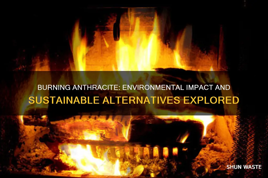 is burning anthracite bad for the environment
