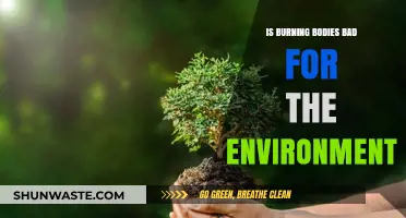 Environmental Impact of Cremation: Is Burning Bodies Harmful?