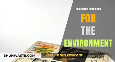 Burning Books: Environmental Impact and Sustainable Alternatives Explored