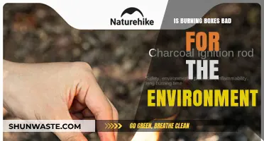 Burning Boxes: Environmental Impact and Sustainable Alternatives Explored