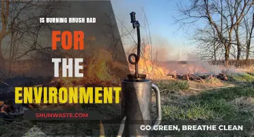 Is Burning Brush Harmful? Environmental Impacts and Sustainable Alternatives