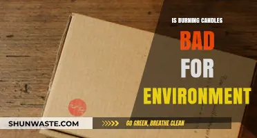 Are Candles Eco-Friendly? Uncovering Their Environmental Impact and Alternatives