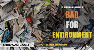Burning Cardboard: Environmental Impact and Sustainable Alternatives Explored