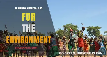 Charcoal Burning: Environmental Impact and Sustainable Alternatives Explored