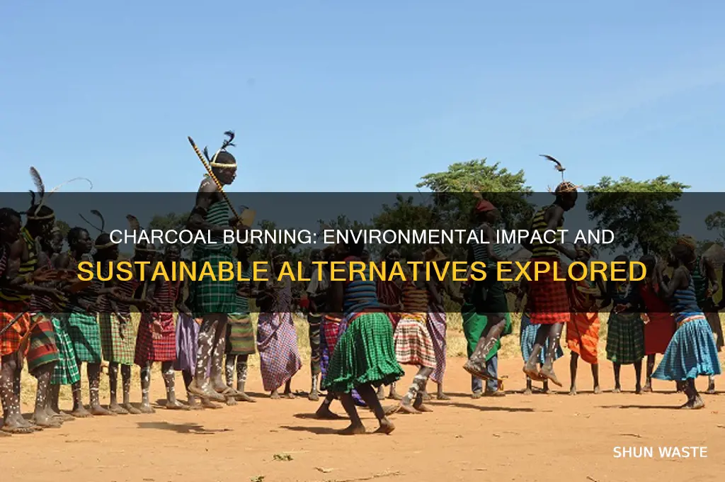 is burning charcoal bad for the environment