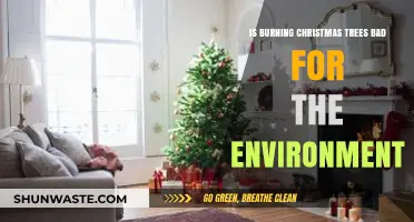 Is Burning Christmas Trees Eco-Friendly? Environmental Impact Explained