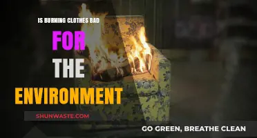 Burning Clothes: Environmental Impact and Sustainable Alternatives Explored
