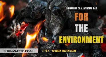 Burning Coal at Home: Environmental Impact and Sustainable Alternatives