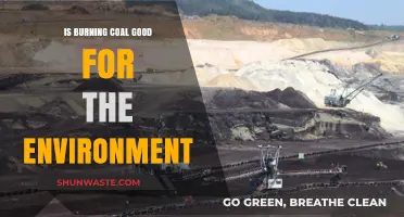 Is Burning Coal Environmentally Friendly? Debunking Myths and Facts