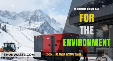 Diesel Emissions: Environmental Impact and Sustainable Alternatives Explored