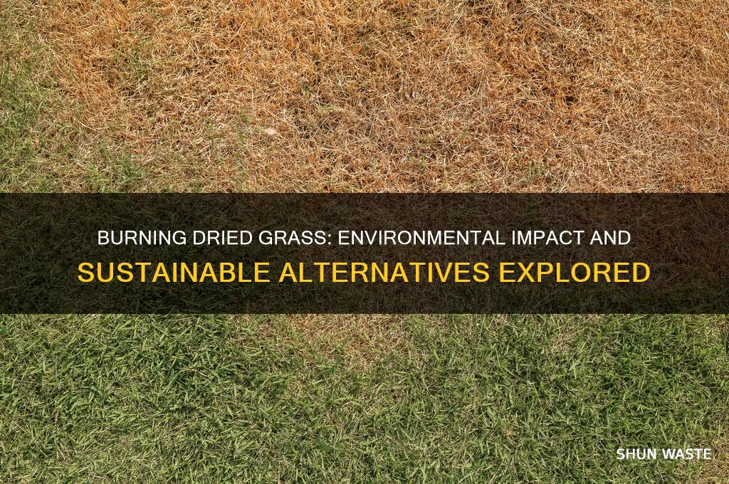 is burning dried grass bad for the environment
