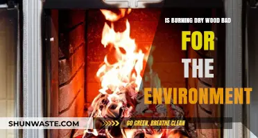 Burning Dry Wood: Environmental Impact and Sustainable Alternatives Explored