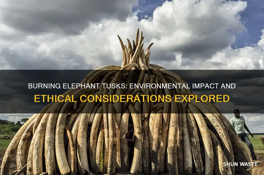 is burning elephant tusks good for the environment