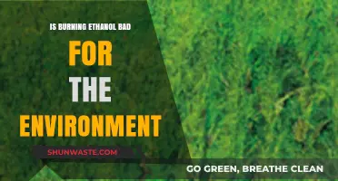 Ethanol Combustion: Environmental Impact and Sustainability Concerns Explored