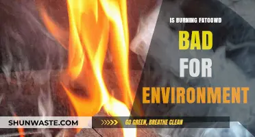 Burning Fatwood: Environmental Impact and Sustainable Alternatives Explored