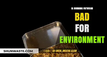 Is Burning Fatwood Harmful to the Environment? A Critical Analysis