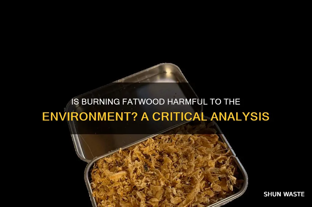 is burning fatwood bad for environment