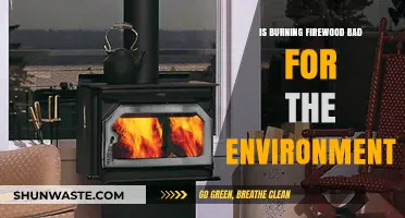 Firewood's Environmental Impact: Sustainable Heating or Ecological Hazard?