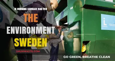 Is Burning Garbage Harming Sweden's Environment? A Critical Analysis