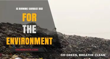 Burning Garbage: Environmental Impact and Sustainable Alternatives Explored