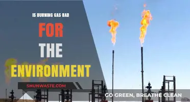 Is Burning Gas Harming Our Planet? Environmental Impacts Explained